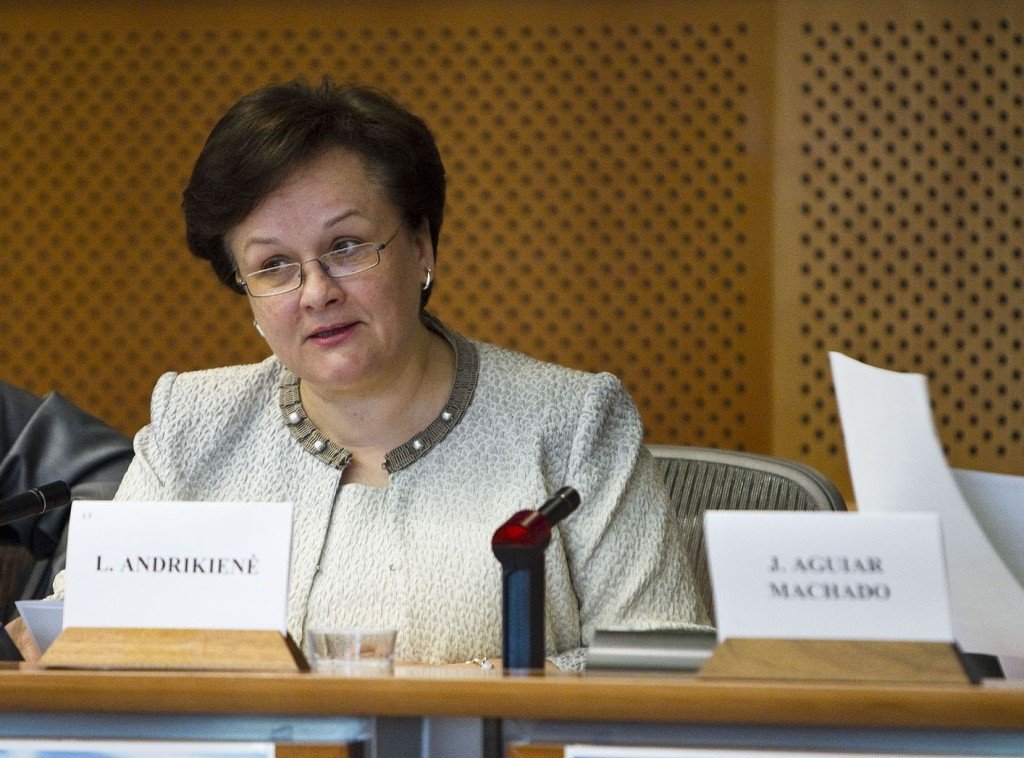 Kadenciją baigusi europarlamentarė L. Andrikienė