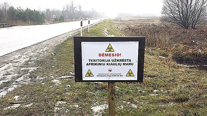 „Sunku aptverti visą Varčios mišką, nes tam reikia 150 vartų“, – sako Veterinarijos tarnybos vadovas J.Milius