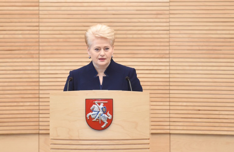Prezidentė Dalia Grybauskaitė, skaitydama metinį pranešimą, Alytaus „sniego kalną“ įvardijo kaip paminklą netoliaregiškumui