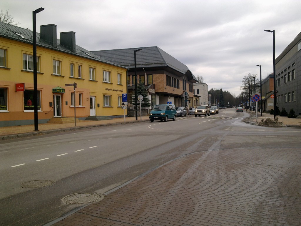 Vilniaus g alytus (3)