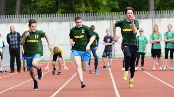 Lietuvos tautinio olimpinio komiteto atstovas A. Gudiškis: „Alytus vienas perspektyviausių miestų rengiant olimpiečius“