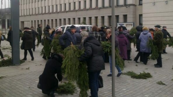 Eglių šakos alytiškiams bus dalijamos gruodžio 20 dieną