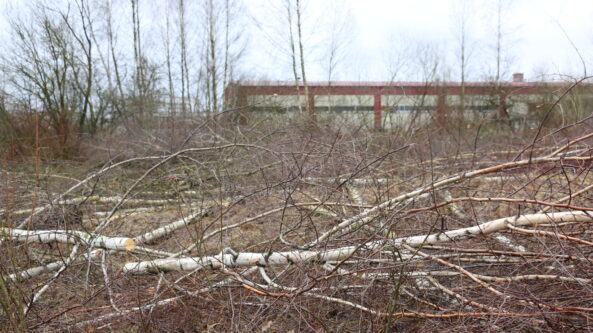 Iki šių metų kovo vidurio planuojama išvalyti trijų pramonės parko sklypų teritoriją