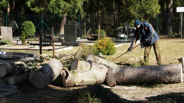 Alytaus miesto kapinėse baigiami medžių genėjimo darbai