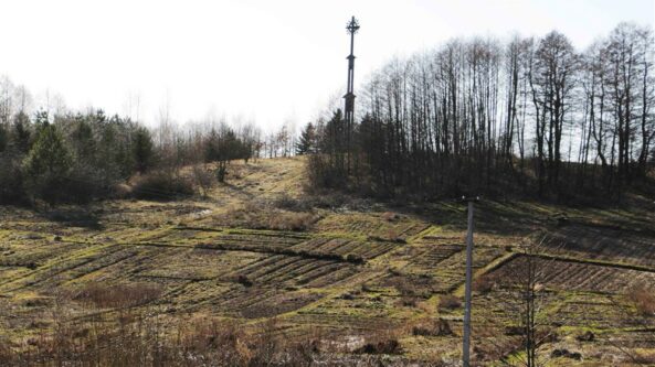 „Pirmas puslapis“ – 50 alytiškių šeimų sodins medžius Likiškių parke