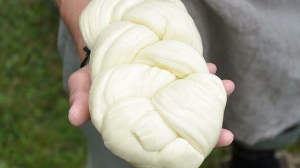 Druskininkuose vyksiantis sūrių festivalis suburs sūrio mėgėjus