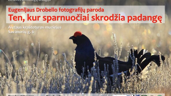 Kraštotyros muziejuje atidaroma paroda – „Ten, kur sparnuočiai skrodžia padangę”