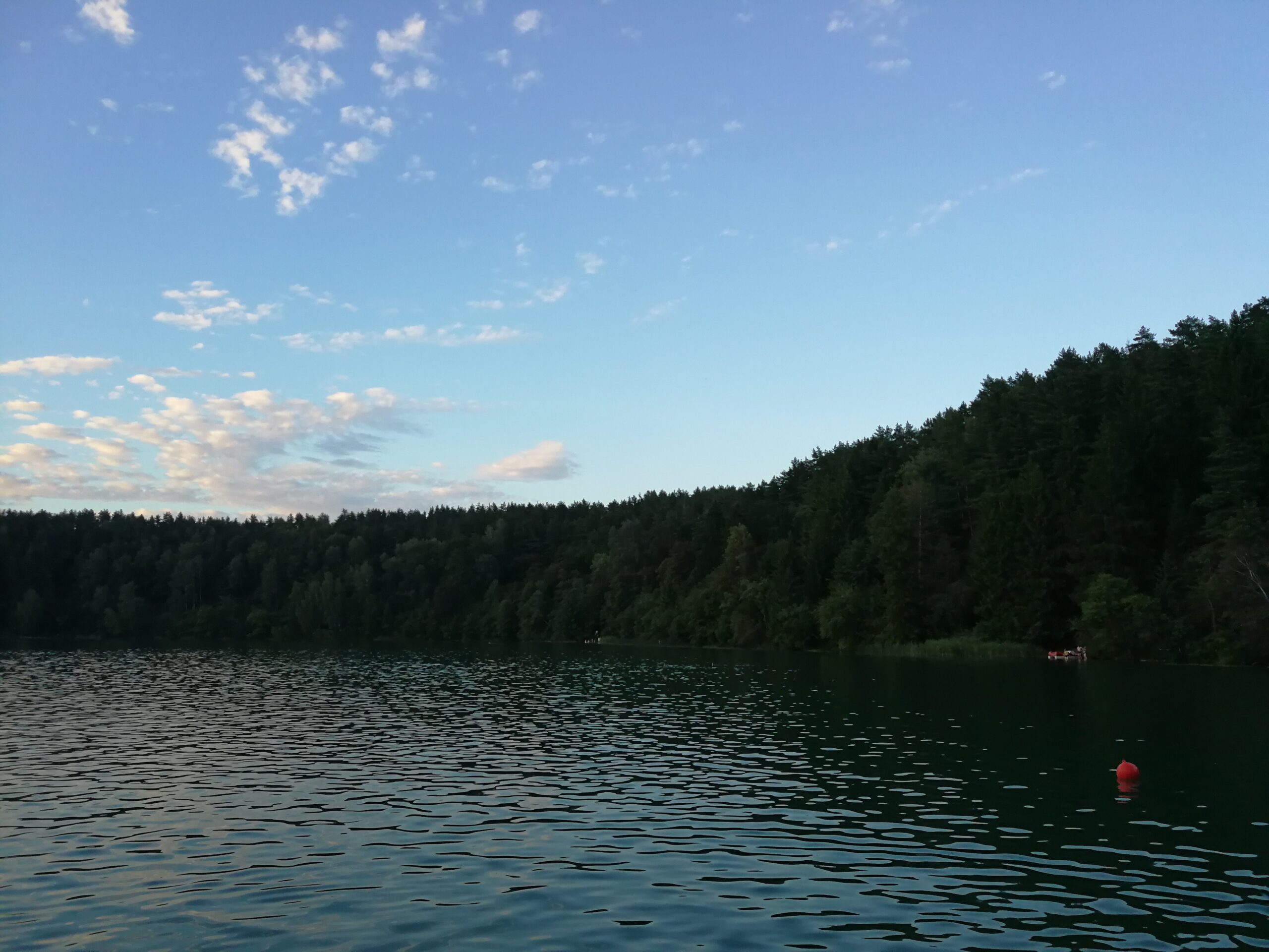 Ežere Alytaus rajone rastas vyro kūnas