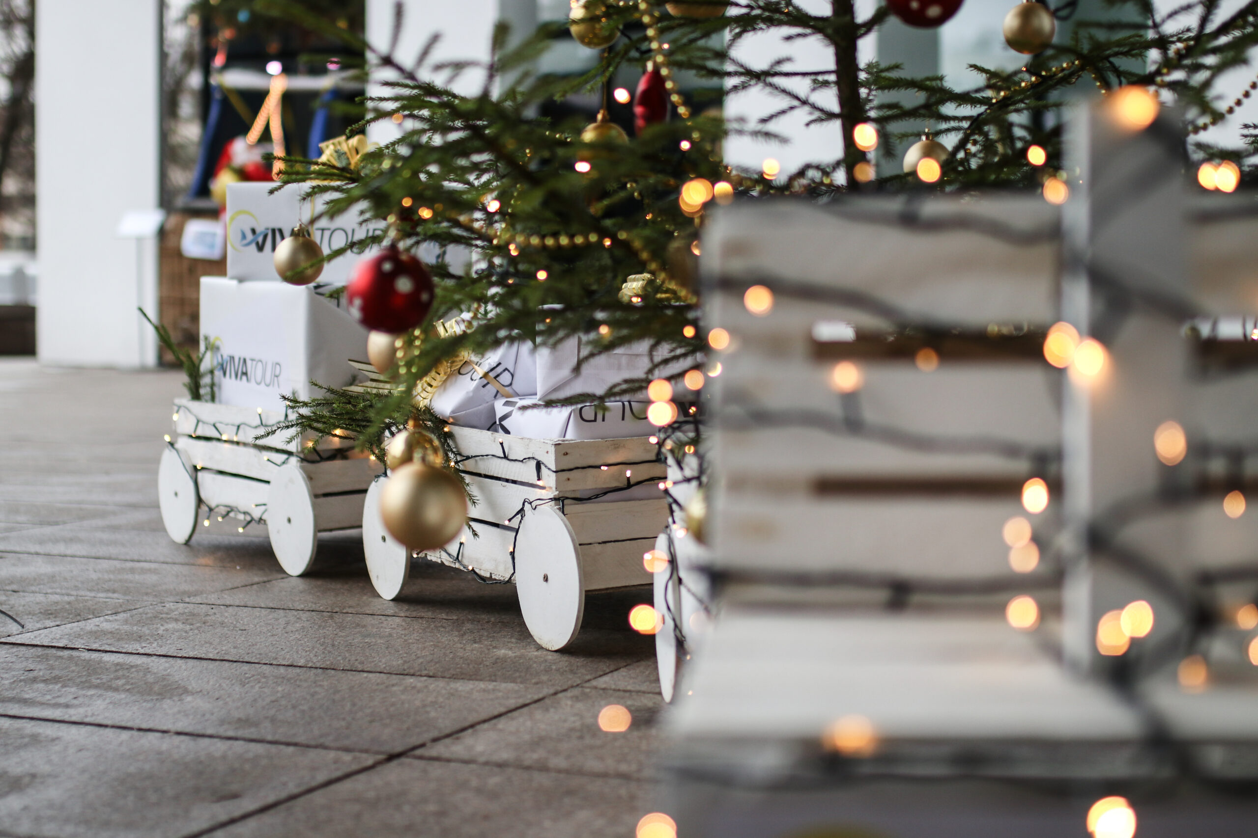 FM99 Kalėdinių eglučių parkas 2025 naujoje erdvėje FM99 Kalėdinių eglučių parkas 2025 naujoje erdvėje