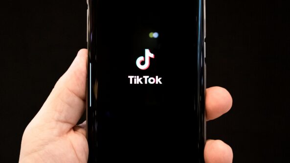Ekspertė apie „TikTok“: ar norite, kad po jūsų telefoną būtų landžiojama?