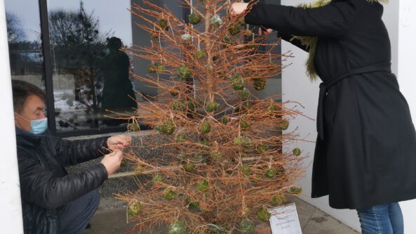 Kur dėti nupuoštą kalėdinę eglutę?