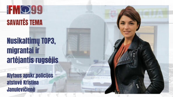 Nusikaltimų TOP3 – smurtas, sukčiavimas ir neblaivūs vairuotojai