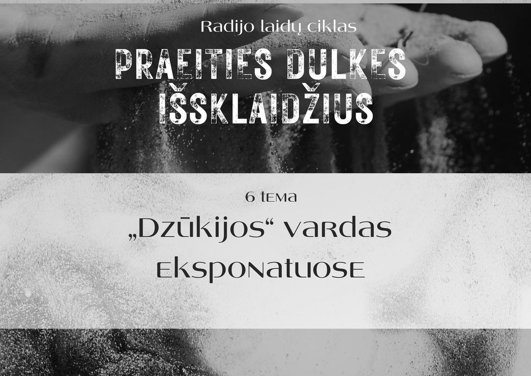 „Praeities dulkes išsklaidžius“ „Dzūkijos“ vardas eksponatuose