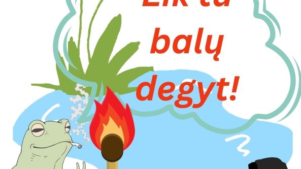 Eik tu balų degyt!