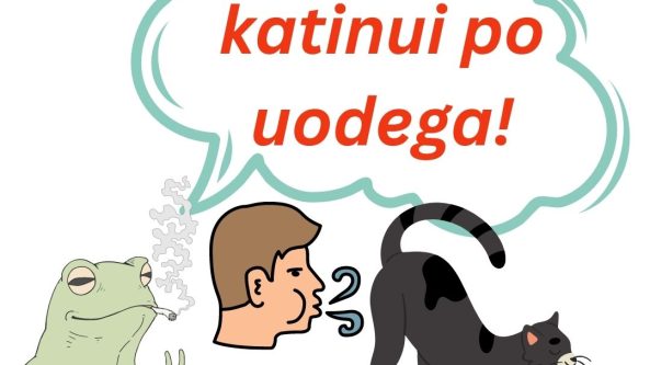 Papūsk katinui po uodega!