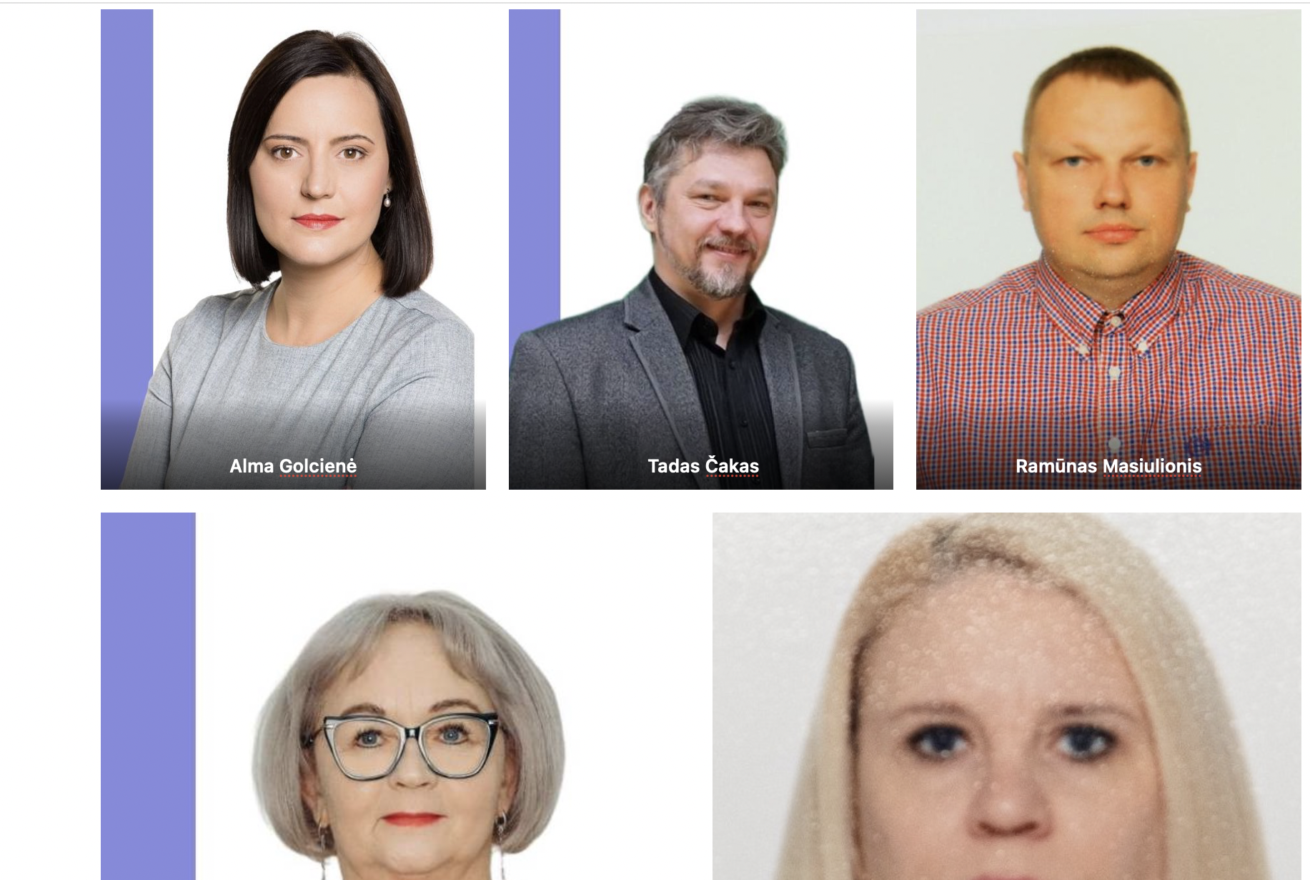 Išrinkti likusieji Alytaus seniūnaičiai, Vidzgirio seniūnaitę išrinko 6 žmonės
