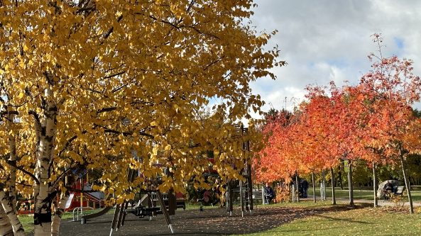 Šiltas pirmadienis Alytuje – spalvingos miesto gatvės. Papildyta meteorologo Gyčio Valaikos komentaru