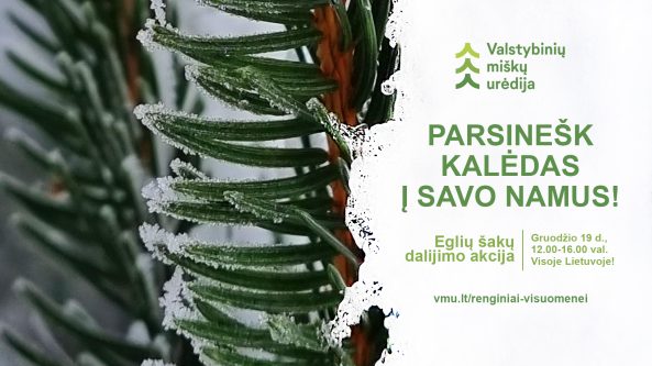 „Parsinešk Kalėdas į savo namus“ – gruodžio 19d. visoje Lietuvoje