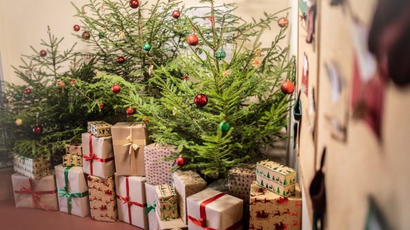 Knyga ir Kalėdos sušildo…