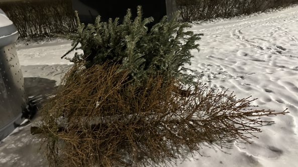 Kas kada užges ir kur dėti nupuoštas eglutes?