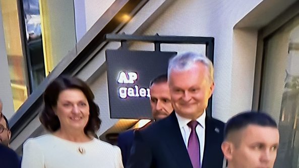 Labiausiai I.Šimonytę palaikė Alytaus Amatų ir Druskininkų Senamiesčio apylinkių rinkėjai (pildoma)