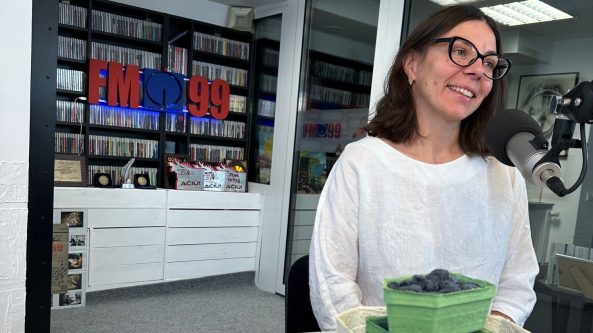 Aplankykite sausmedžio uogų ūkį Alytaus rajone!