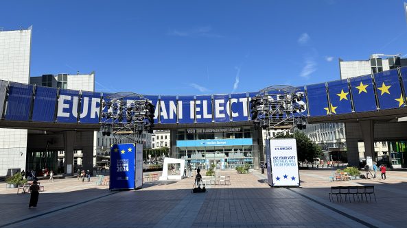 Europiniuose rinkimuose labiausiai skiriasi amžius, tiek rinkėjų, tiek kandidatų