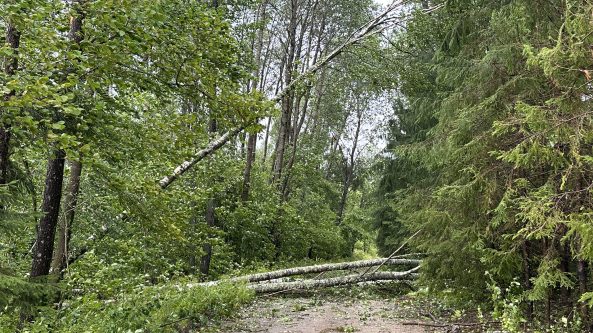 Druskininkai: Trys pabėgę vairuotojai ir keturi girti paspirtukininkai