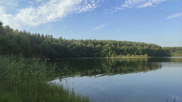 Prienų rajone, ežere, nuskendo vyras