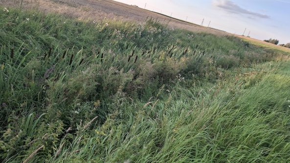 Kur kreiptis dėl melioracijos sistemų naudojimo ir priežiūros?