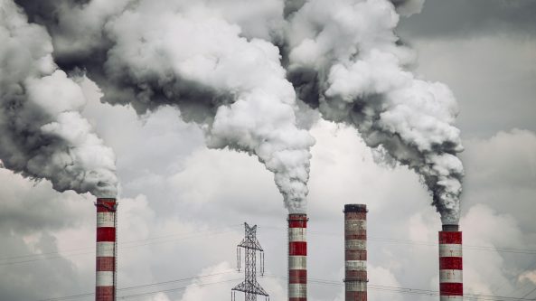 Ar D. Trumpo laimėjimas JAV rinkimuose reiškia gilėsiančią klimato krizę?