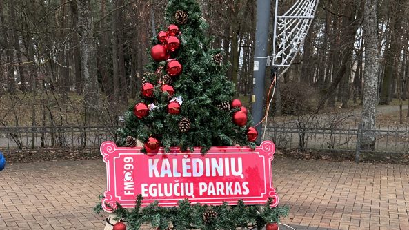 Balsavimas startuoja! Balsuok už mylimiausią eglutę!