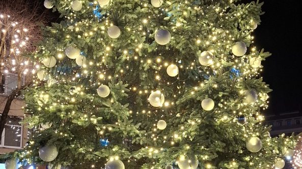 Renginiai Alytuje (12.01-12.07): Kas? Kur? Kada?