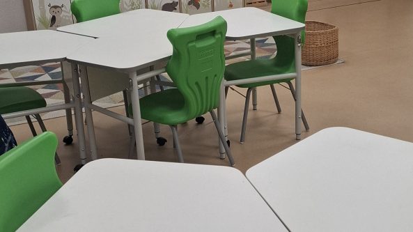 Švietimas Alytuje – LEU Alumnų draugija perspėja dėl galimų pažeidimų
