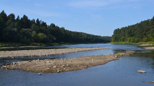Nemuno valymo darbai – atrasta aukso gysla?