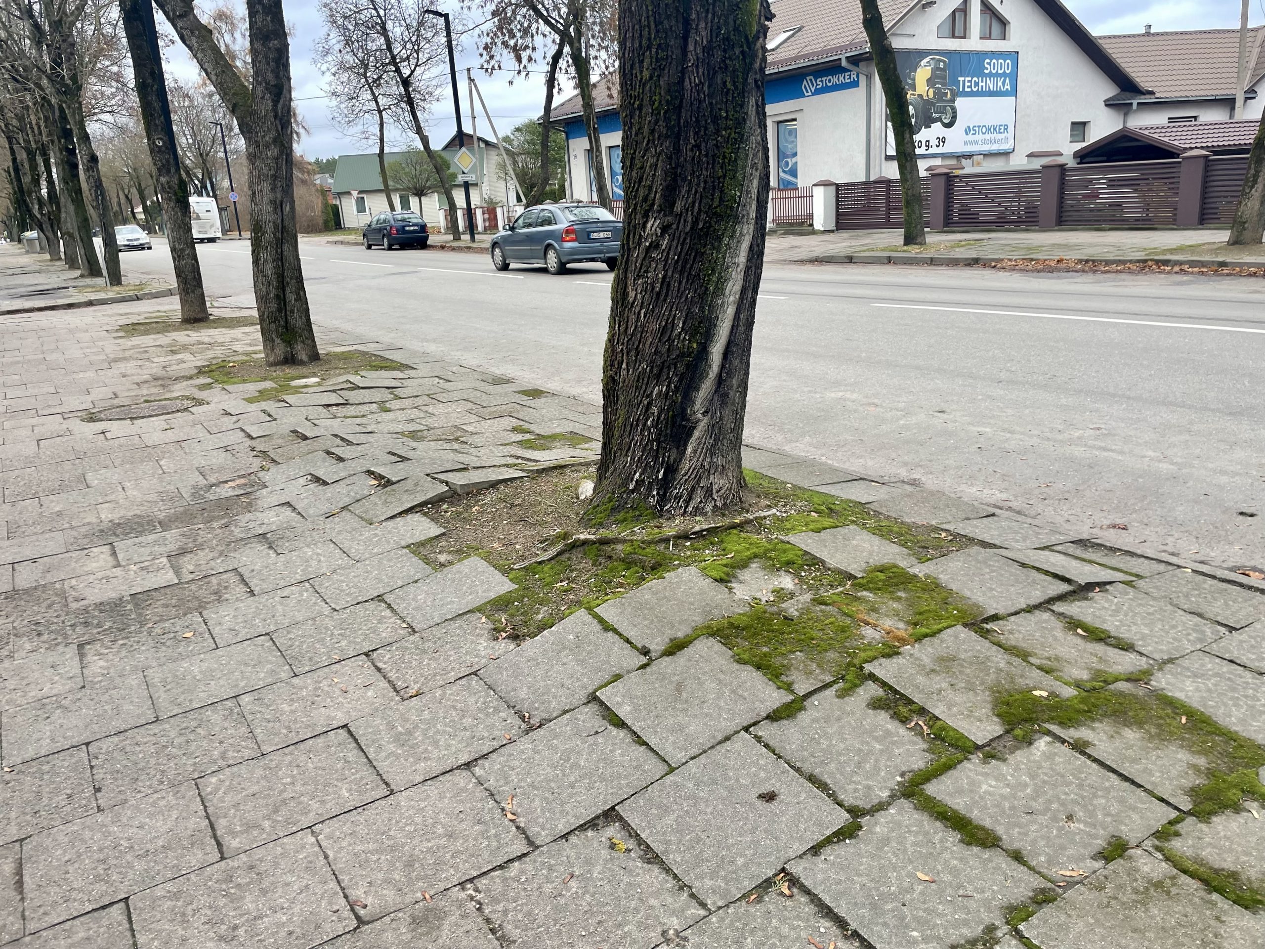 Pulko gatvėje – nauji šaligatviai ir mažiau medžių