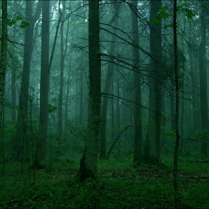 Pasieniečiai Lazdijų rajone išgelbėjo miške įklimpusią moterį ir jos pasiklydusį sūnų