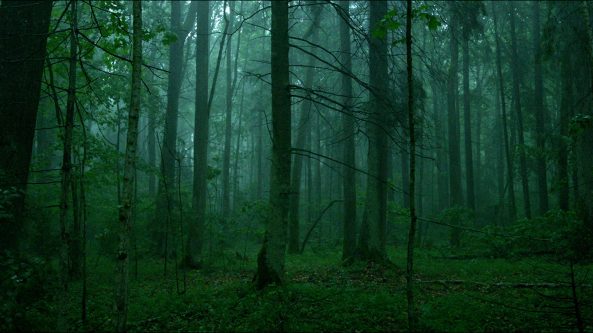 Pasieniečiai Lazdijų rajone išgelbėjo miške įklimpusią moterį ir jos pasiklydusį sūnų