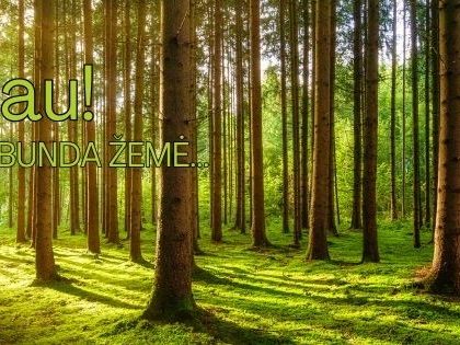 Alytuje – Žemės diena „Tyliau! Bunda Žemė…“