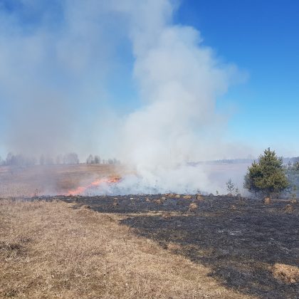 Savaitgalio gaisrai: degė žolė, butai, namai ir net… pinigai