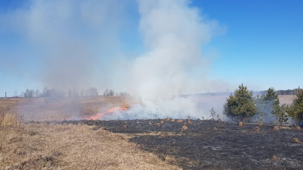 Savaitgalio gaisrai: degė žolė, butai, namai ir net… pinigai