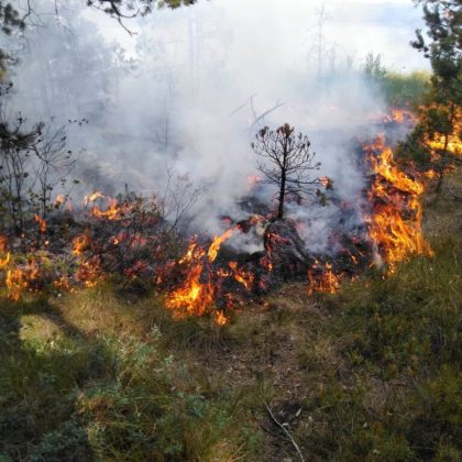 Atsakingas pavasaris be žolės deginimų