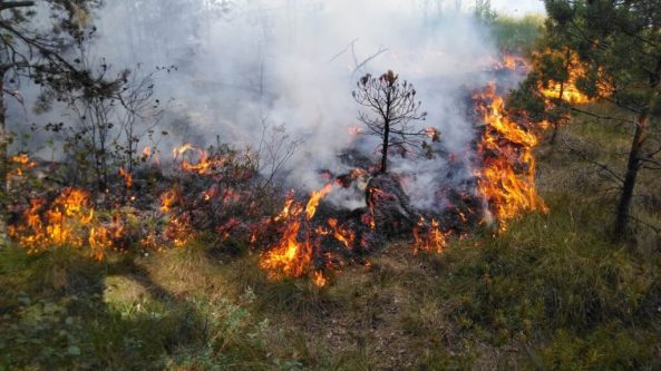 Atsakingas pavasaris be žolės deginimų