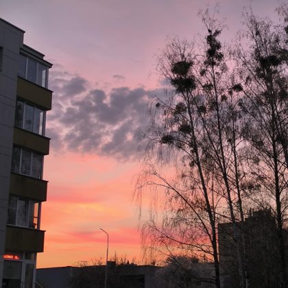 Iš Sacharos artėja dulkės – gali prastėti oro kokybė – sako Gytis Valaika