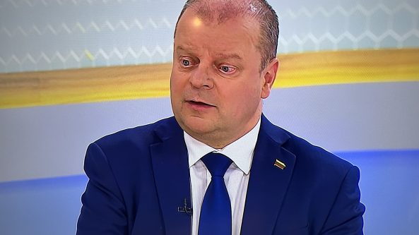 Alytaus rajono merė sustabdė narystę Demokratų partijoje