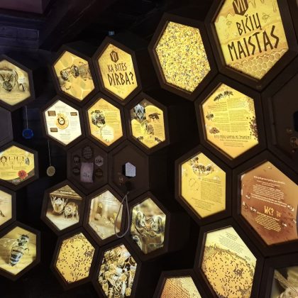 Šiandien pasaulinė bičių diena – saugokime bites!