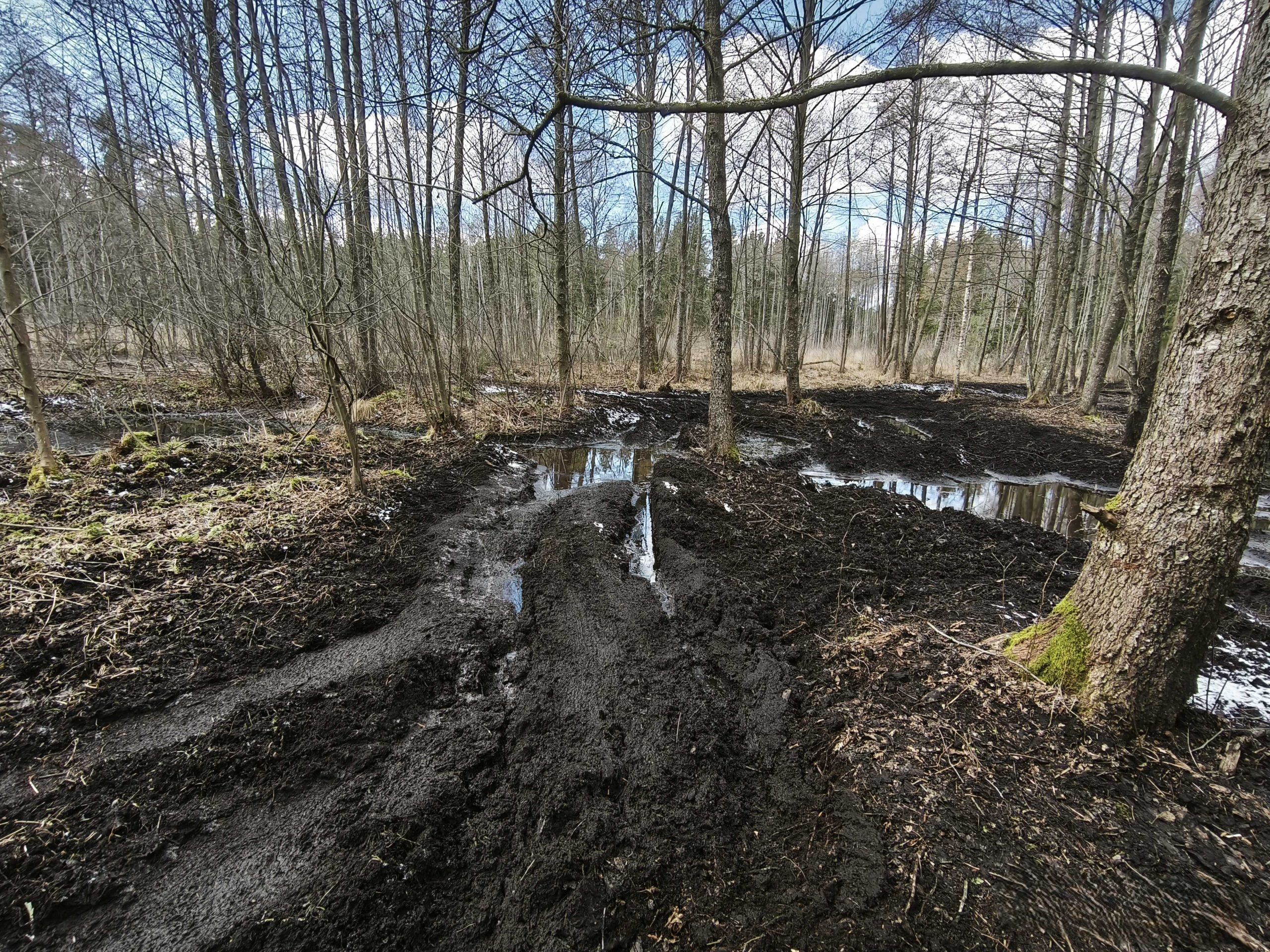 Miškas – ne trasa: Valstybinių miškų urėdija primena lankymosi miške taisykles