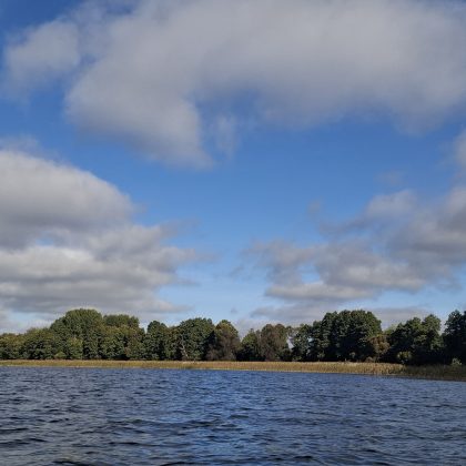 Kokių taisyklių reikia laikytis besilankant gamtoje?