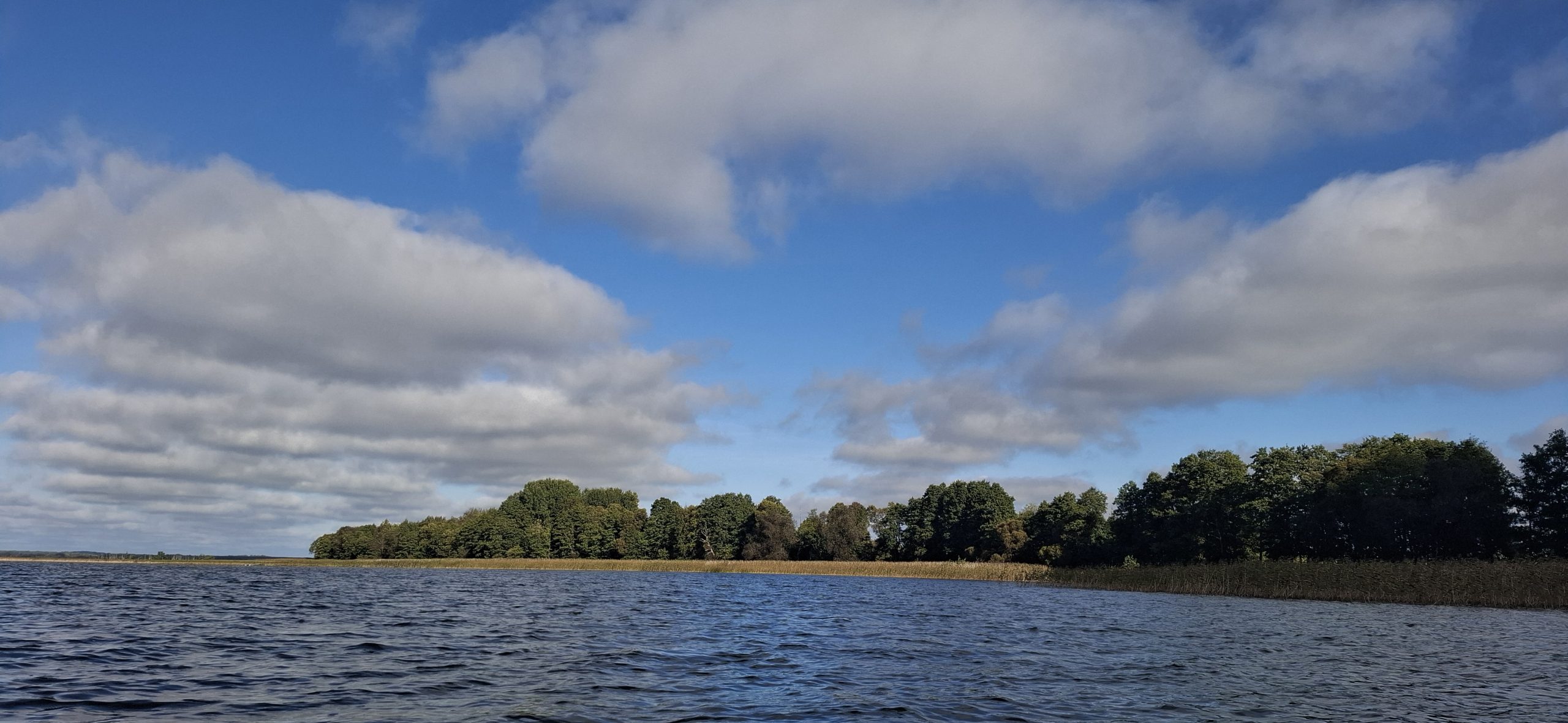 Kokių taisyklių reikia laikytis besilankant gamtoje?