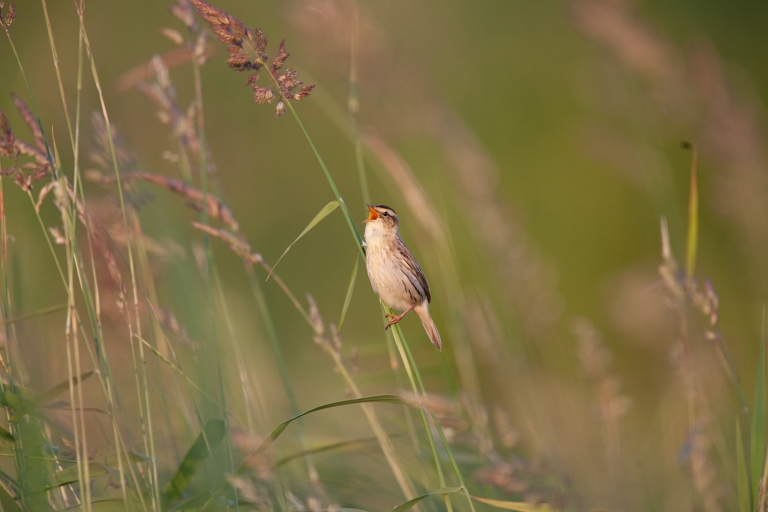 Žuvinto vardas – UNESCO biosferos tinklo dalis jau 14 metų